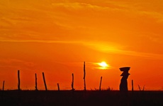 Về già trắng tay