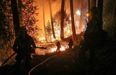 Năm 2020 sẽ nóng kỷ lục?