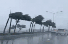 Xuất hiện đợt lũ ở mức trên dưới báo động III tại Khánh Hòa, Phú Yên