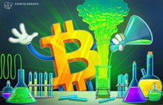 Nhà kinh tế nổi tiếng thừa nhận có thể nghĩ sai về Bitcoin