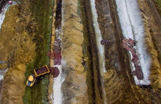 Cảnh tượng đáng sợ ở Đan Mạch: Xác chồn nổi lên từ hố chôn tập thể