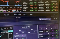 Một nhà đầu tư chứng khoán ở Hà Nội bị phạt 600 triệu đồng