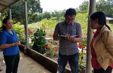 Vụ xã 'mượn tạm' tiền hỗ trợ dùng chung: Có dấu hiệu tội 'Tham ô tài sản'?