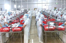 Thu ngân sách từ các doanh nghiệp trong KCX-KCN TP HCM ước giảm 9%