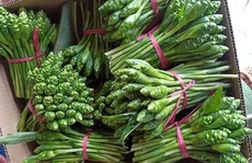 'Rau nhà nghèo' phủ sóng khắp Thủ đô, 'thượng đế' tranh nhau mua
