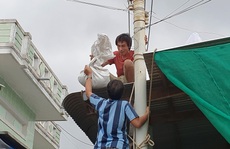 Phú Yên: Di dời khẩn hơn 4.000 người từ các lồng bè hải sản vào bờ trước bão số 12