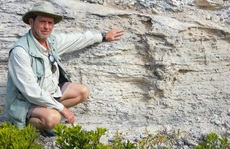 Tổ 'quái thú' hóa đá tiết lộ bí ẩn giống loài 115.000 năm vẫn sống khỏe