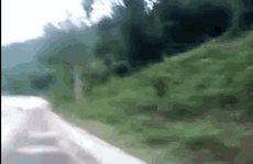 Khảo sát tận nơi, chuyên gia đề xuất phương án gì để ngăn đàn voọc tấn công người ở Quảng Trị?