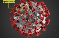 Biến thể mới của virus corona chủng mới 'đang lây lan quá nhanh'