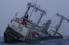 Vụ chìm tàu nước ngoài ở biển Phú Quý: Tìm thấy 11 người, 4 người chết và mất tích