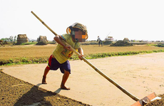 Hơn nửa triệu trẻ em Việt Nam làm công việc nguy hại đến sức khỏe, đạo đức