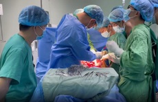 Huy động 15 bác sĩ giỏi cứu 1 người bị đâm thủng bụng