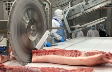 Giá thịt heo Tết sẽ tăng?