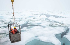Phát hiện 12 sinh vật chưa từng thấy trên Trái Đất ẩn nấp dưới biển băng