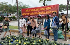 Một buổi sáng, người Hội An 'giải cứu' hơn 7 tấn dưa hấu bí đường sang Trung Quốc