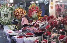[Video] - Chợ hoa Hồ Thị Kỷ đìu hiu do dịch Covid-19