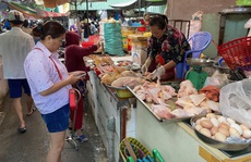 Giá gà công nghiệp xuống thấp kỷ lục, người nuôi lỗ nặng