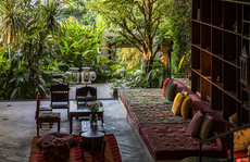 Ngôi nhà ẩn trong 'rừng rậm'