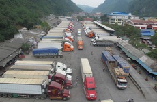 Khẩn cấp cứu nông sản