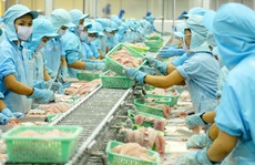 Xuất khẩu chưa quá khó