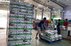 Dự kiến thông quan nông sản qua cửa khẩu Tân Thanh