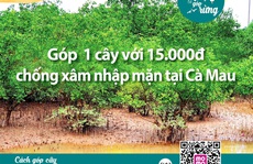 Chủ tịch Cà Mau chỉ đạo làm rõ việc vận động trồng rừng chống xâm nhập mặn