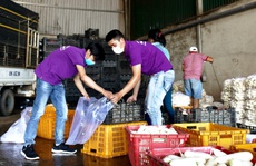 Đà Lạt tặng gần 4 tấn rau củ cho Ninh Thuận chống dịch Covid-19