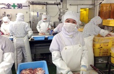 Hơn 560.000 lao động Việt Nam đang làm việc ở nước ngoài vẫn ổn định