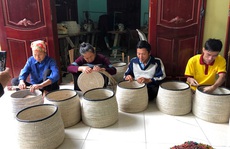 Hơn 13.000 lao động nông thôn sẽ được đào tạo nghề