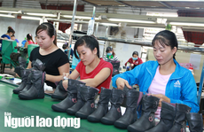 NÓNG: Đề xuất cho NLĐ khó khăn vay 2 triệu đồng/tháng để duy trì sinh hoạt