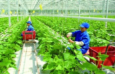 Những chính sách lao động nông nghiệp của Đài Loan cần lưu ý