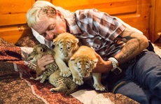 'Vua hổ': Trần trụi và xót xa!