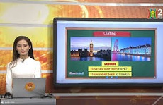 Đừng bắt trẻ học trên tất cả các 'mặt trận'!