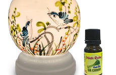 Thư giãn tại nhà với tinh dầu