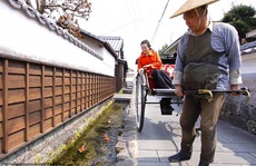 Thành phố ở Nhật thu hút du khách bằng cá Koi bơi dưới cống nước thải