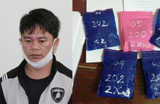 Quảng Bình: Bắt đối tượng 'ngụy trang' 1.000 viên ma túy trong chậu cây cảnh