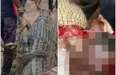 Indonesia: Mổ bụng cá sấu 4 m, phát hiện thi thể người