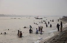 Đàn cá kình con vào sát kè biển Thuận An, nhiều người lao xuống vây bắt