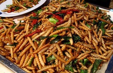 Loài người “nghiện” ăn côn trùng từ bao giờ?