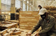 Nhiều doanh nghiệp gỗ phải rao bán nhà máy vì Covid-19