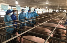 Giúp bằng chính sách căn cơ