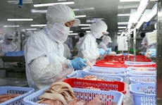 Hạn chế tổn thương cho người lao động: Biến thách thức thành cơ hội