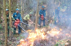 Miền Trung - Tây Nguyên: Nguy cơ cháy rừng rất cao