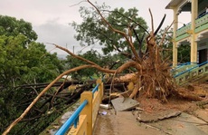 Quảng Nam: Mưa dông kèm lốc xoáy khiến nhiều nhà dân bị tốc mái