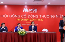 MSB đặt mục tiêu lợi nhuận năm 2020 đạt 1.439 tỉ