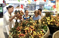 Kích cầu tiêu thụ vải thiều Bắc Giang, Hải Dương
