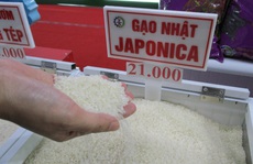 Sau nhiều lùm xùm, xuất khẩu gạo vẫn tăng trưởng mạnh nhất