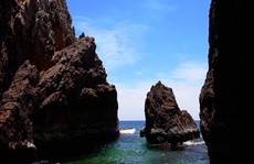 Bình Định thu hồi chủ trương một dự án du lịch ven biển của FLC