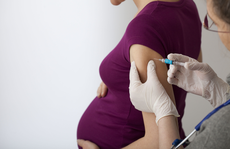 Mang thai có nên tiêm vắc-xin viêm gan siêu vi B?