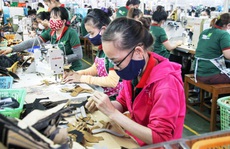 Tín hiệu khởi sắc từ thị trường lao động Đà Nẵng